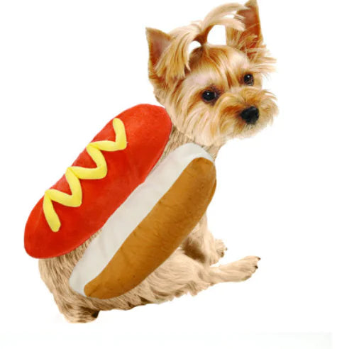 Roupinha divertida Hot Dog