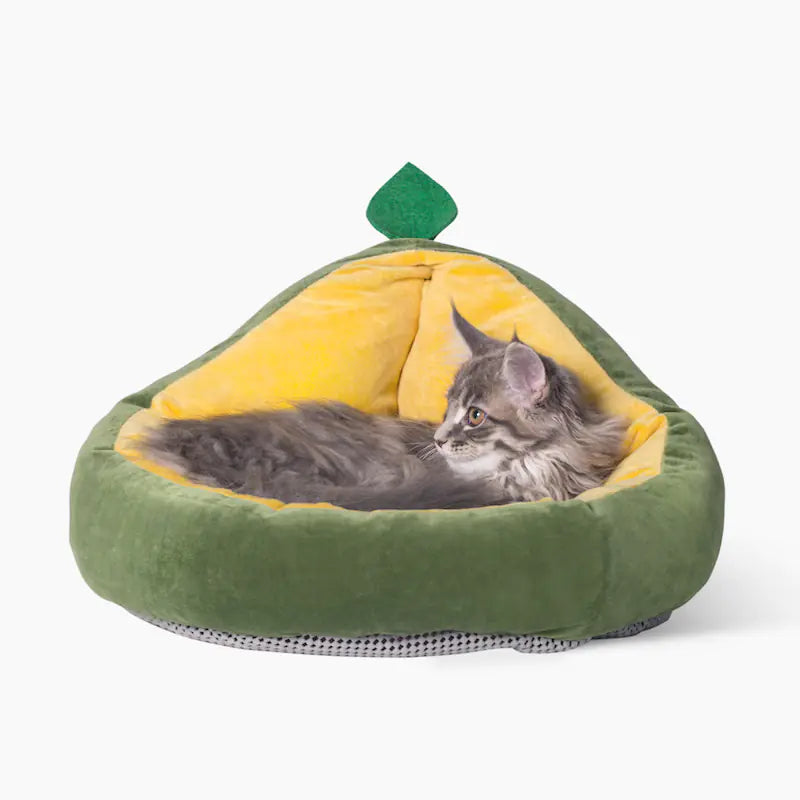 Cama em formato de fruta